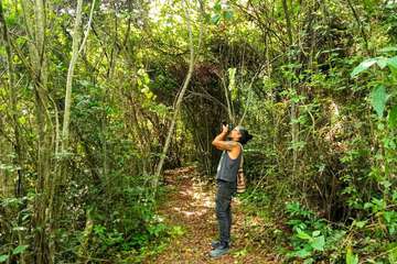 Hiking