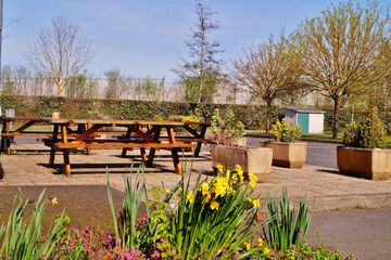 BBQ/picnic area