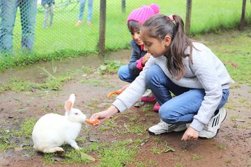 Children's activities