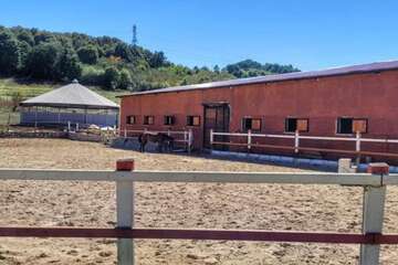 Horseback riding