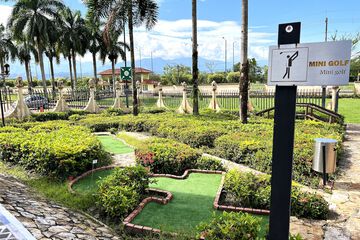 Mini-golf