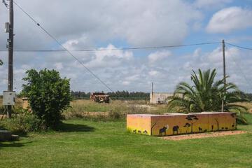 Photo 52