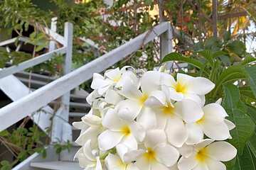 Photo 49