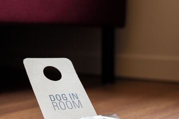 Pet-friendly