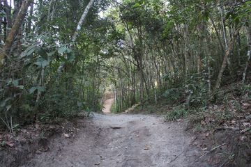 Hiking