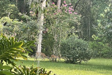 Property Grounds 58 of 58