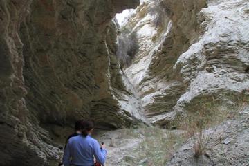 Photo 33