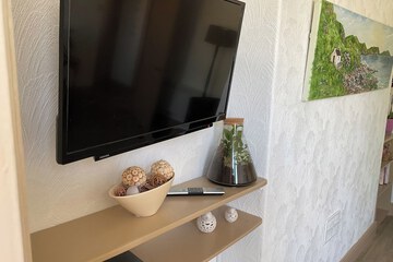 Television