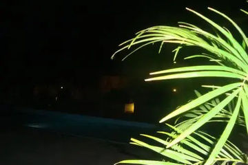outside