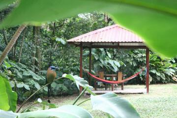 Photo 49