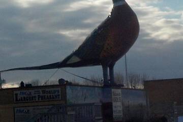 Property Grounds 27 of 27