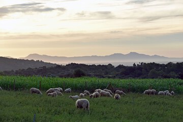 Ecotours