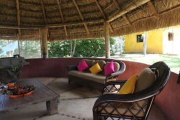 Terrace or Patio