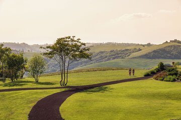 Park view