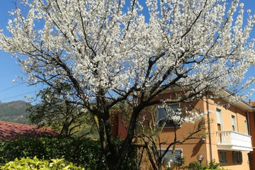 outside