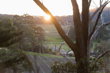 Land view from property