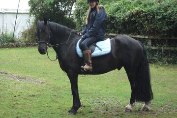 Horseback riding