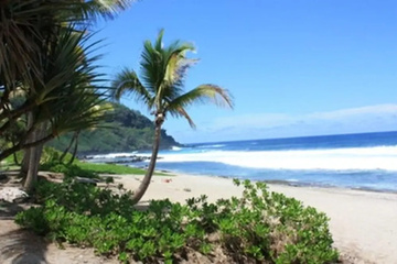 beach