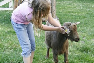 Children's activities