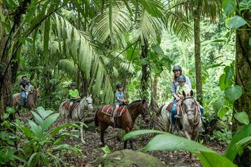 Horseback riding