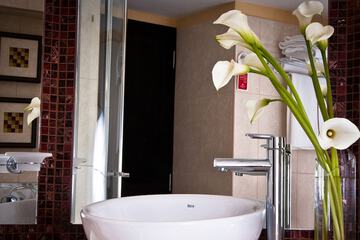 Bathroom sink