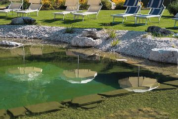 Natural pool