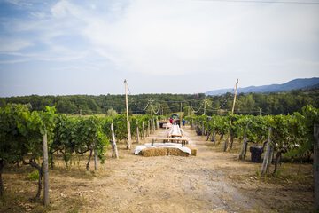 Ecotours