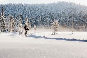 Sledding