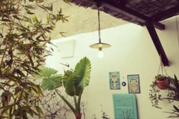 Terrace or Patio