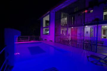 Photo 41
