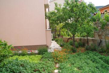Photo 34