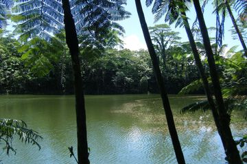 Lake