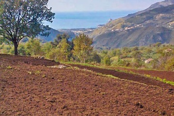 Land view from property