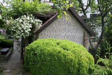 Photo 27
