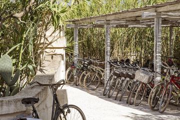 Bicycling