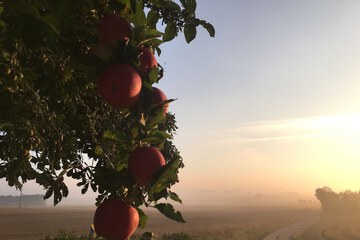 Land view from property