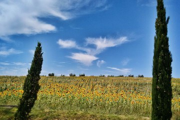 Land view from property
