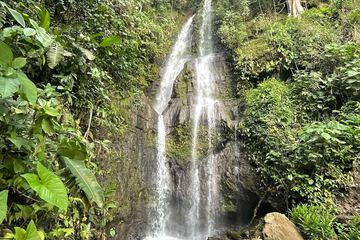 Ecotours