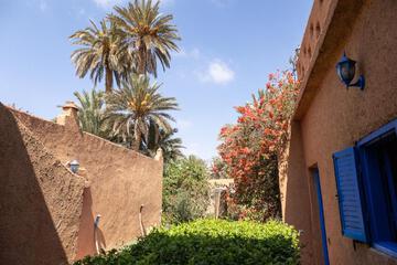 Photo 49