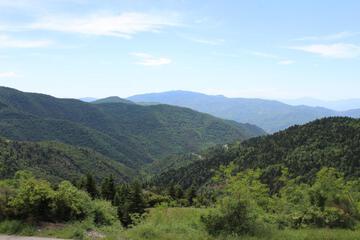 Photo 43