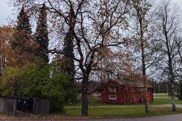 Photo 36