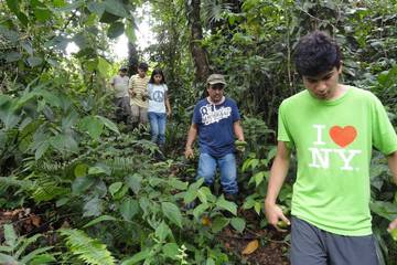 Hiking