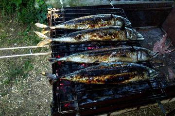 Photo 99