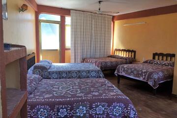 Photo 46