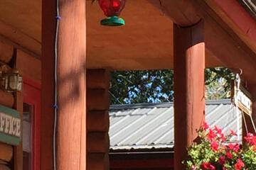 Photo 26