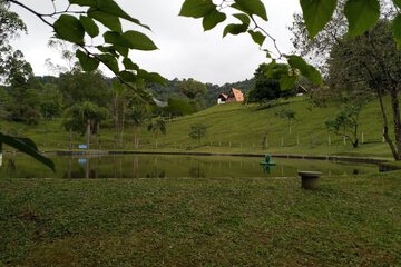 BBQ/picnic area