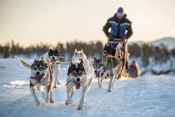 Sledding