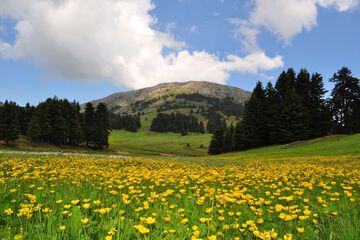Mountain view