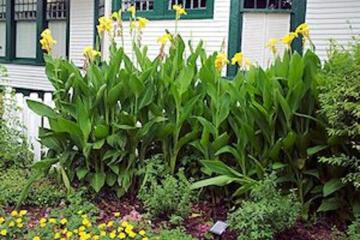 Granbury Gardens Bed & Breakfast