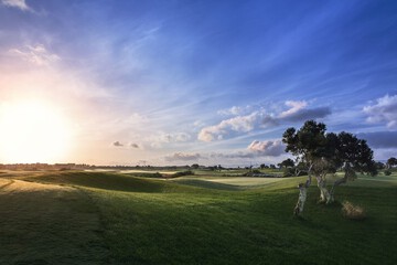 Golf
